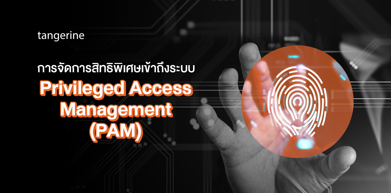 การจัดการสิทธิพิเศษเข้าถึงระบบ (Privileged Access Management : PAM ...