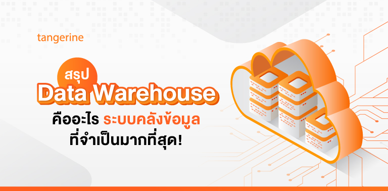 สรุป Data Warehouse คืออะไร ระบบคลังข้อมูลที่จำเป็นมากที่สุด